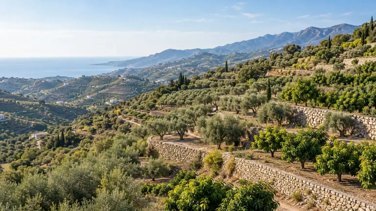 Boundary demarcations, groupings, segregations, horizontal divisions 1 - abogado Nerja, abogado Torrox, abogado Velez Malaga, abogado Torre del Mar Axarquía farmland with cultivation terraces and boundary stones, beside a topographic plan